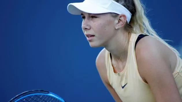 野和多面性 野和多面性