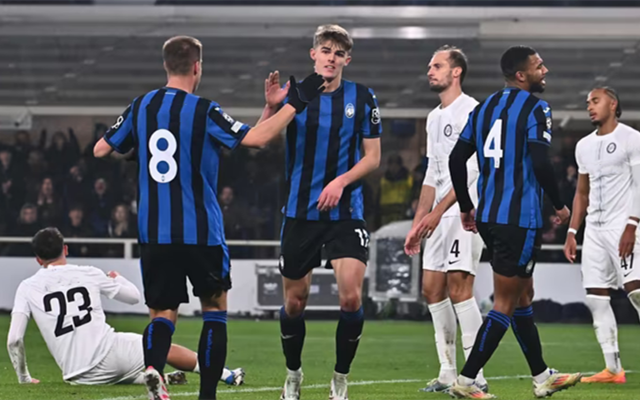 负边界的系 负边界的系