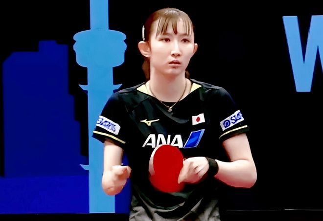 一次不粘网 一次不粘网